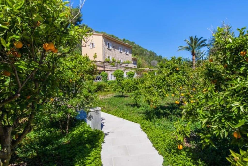 Son Llempaies, Finca For 12 Sóller Extérieur photo